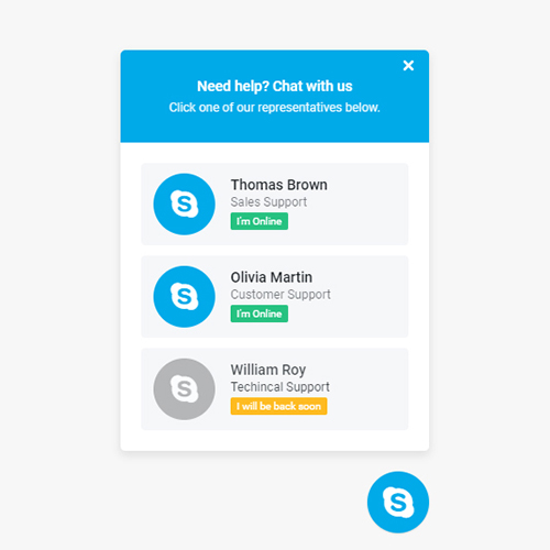 Skype Support